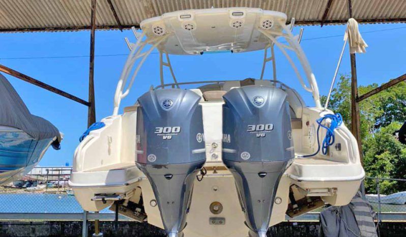 
								PROMARINE EXPRESS 34 full									