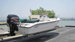 
										BOSTON WHALER DAUNTLESS 180 18.5 full									
