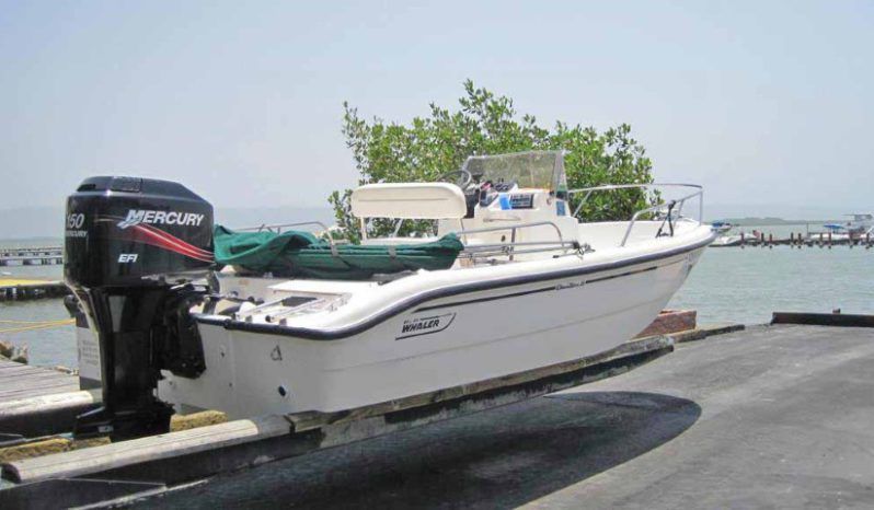 
								BOSTON WHALER DAUNTLESS 180 18.5 full									