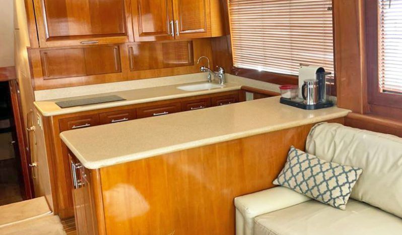 
								HATTERAS CONVERTIBLE 50 full									