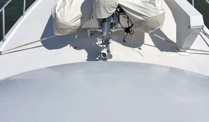 
								HATTERAS CONVERTIBLE 50 full									
