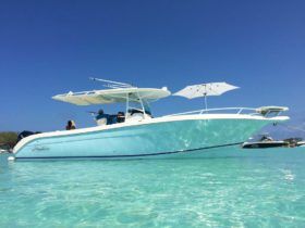 PROMARINE OPEN 33