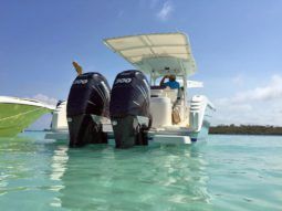 
										PROMARINE OPEN 33 full									