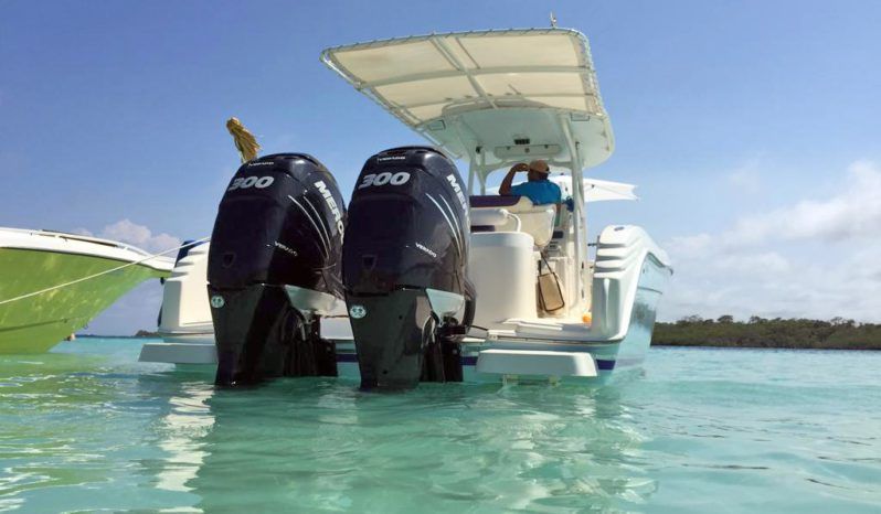 
								PROMARINE OPEN 33 full									