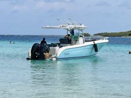 
										PROMARINE OPEN 33 full									