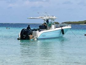PROMARINE OPEN 33