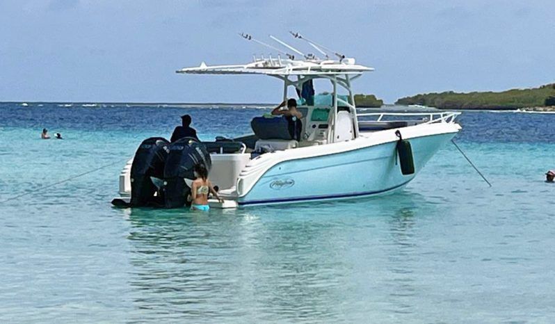 
								PROMARINE OPEN 33 full									