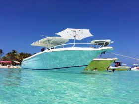 PROMARINE OPEN 33