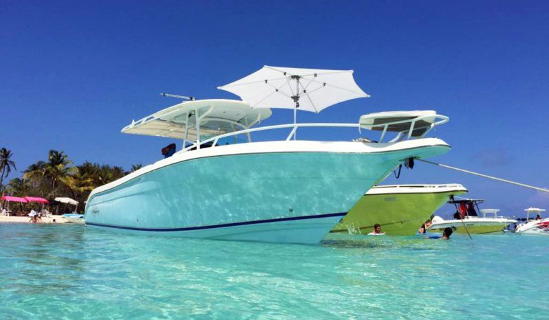 
								PROMARINE OPEN 33 full									