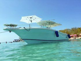 PROMARINE OPEN 33
