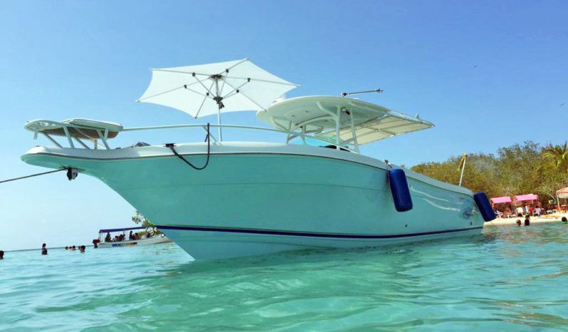 
								PROMARINE OPEN 33 full									