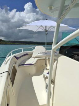 
										PROMARINE OPEN 33 full									