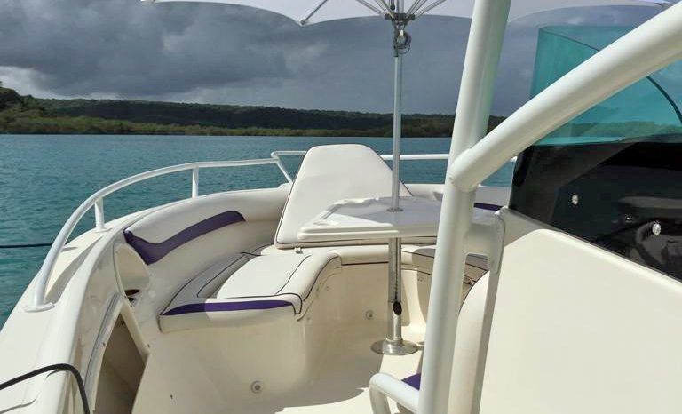 
								PROMARINE OPEN 33 full									