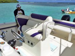 
										PROMARINE OPEN 33 full									