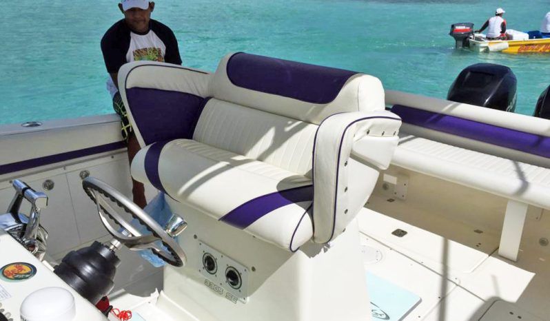
								PROMARINE OPEN 33 full									