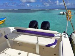 
										PROMARINE OPEN 33 full									