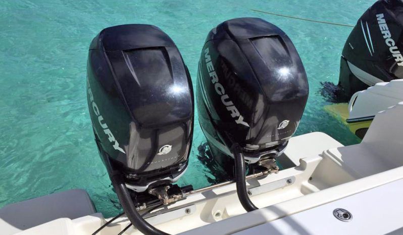 
								PROMARINE OPEN 33 full									