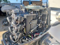 
										DINGHY AB OCEANUS 15 full									