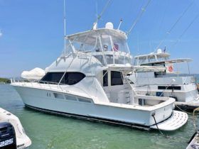 HATTERAS CONVERTIBLE 50
