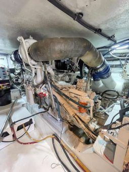 
										HATTERAS CONVERTIBLE 50 full									