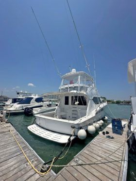 HATTERAS CONVERTIBLE 50