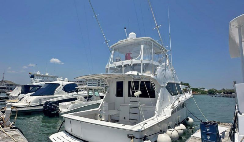 
								HATTERAS CONVERTIBLE 50 full									