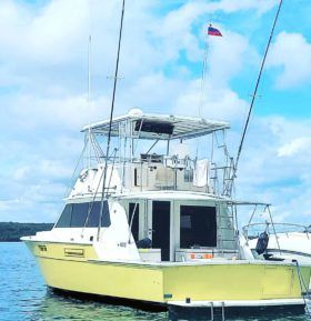 BERTRAM 42