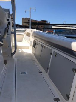 
										PROMARINE OPEN 33 full									