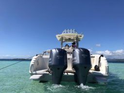 
										PROMARINE OPEN 33 full									