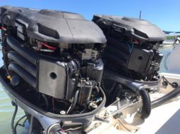 
										PROMARINE OPEN 33 full									