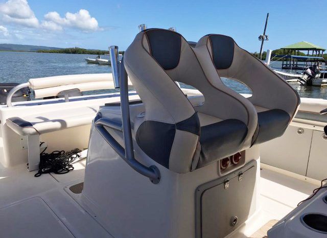 
								PROMARINE OPEN 33 full									