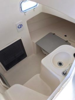 
										PROMARINE OPEN 33 full									