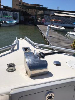 
										PROMARINE OPEN 33 full									