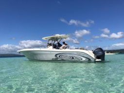 
										PROMARINE OPEN 33 full									