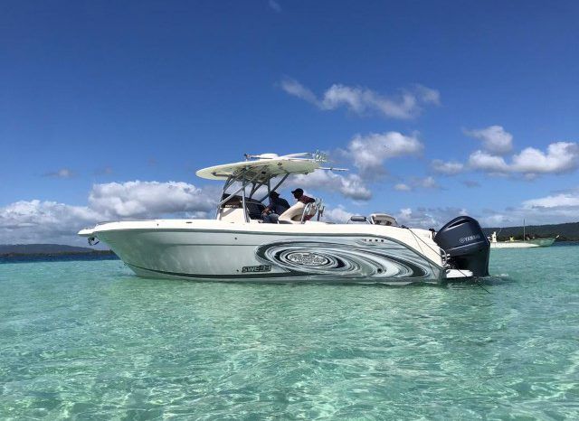 
								PROMARINE OPEN 33 full									