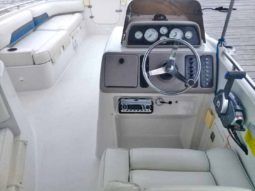 
										CHAPARRAL SUNESTA 25 full									