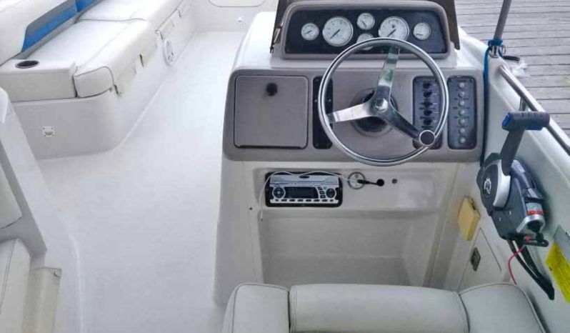 
								CHAPARRAL SUNESTA 25 full									
