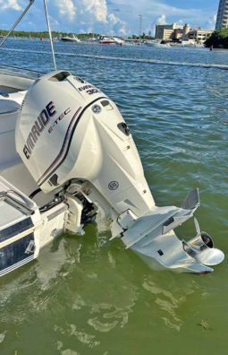 
										CHAPARRAL SUNESTA 25 full									