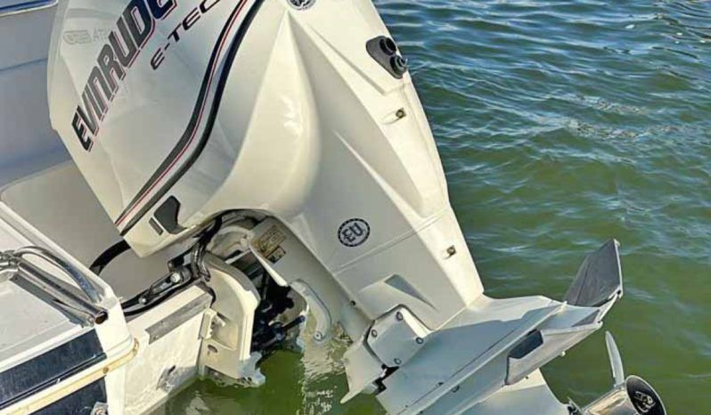 
								CHAPARRAL SUNESTA 25 full									