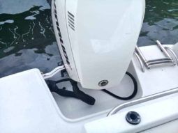 
										CHAPARRAL SUNESTA 25 full									