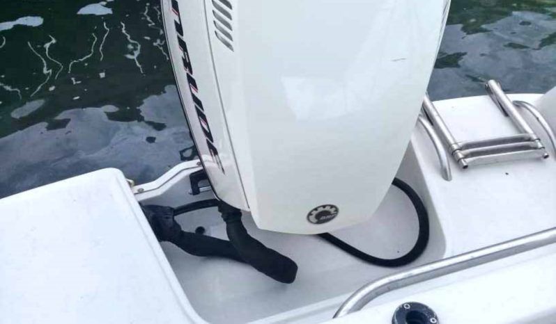 
								CHAPARRAL SUNESTA 25 full									