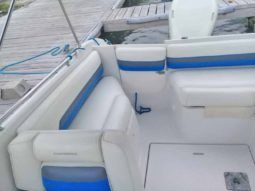 
										CHAPARRAL SUNESTA 25 full									