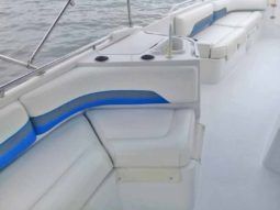 
										CHAPARRAL SUNESTA 25 full									