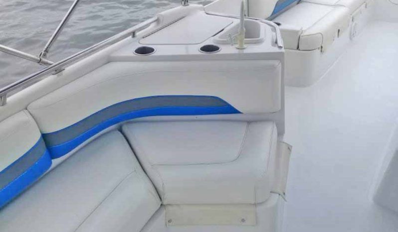
								CHAPARRAL SUNESTA 25 full									
