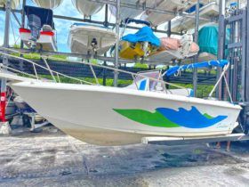 CORALINE 22