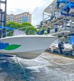 CORALINE 22