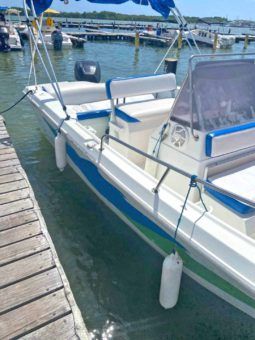 
										CORALINE 22 full									