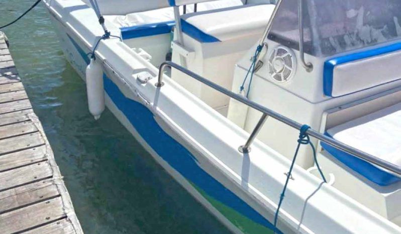 
								CORALINE 22 full									