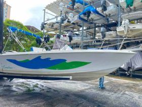CORALINE 22