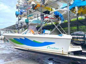 CORALINE 22